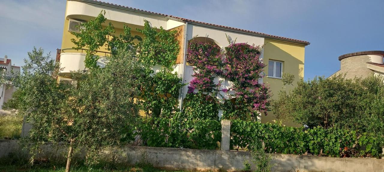 Apartmani Vranjkovic Водице Экстерьер фото
